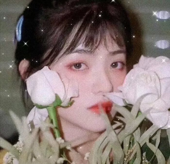 漫长的旅程